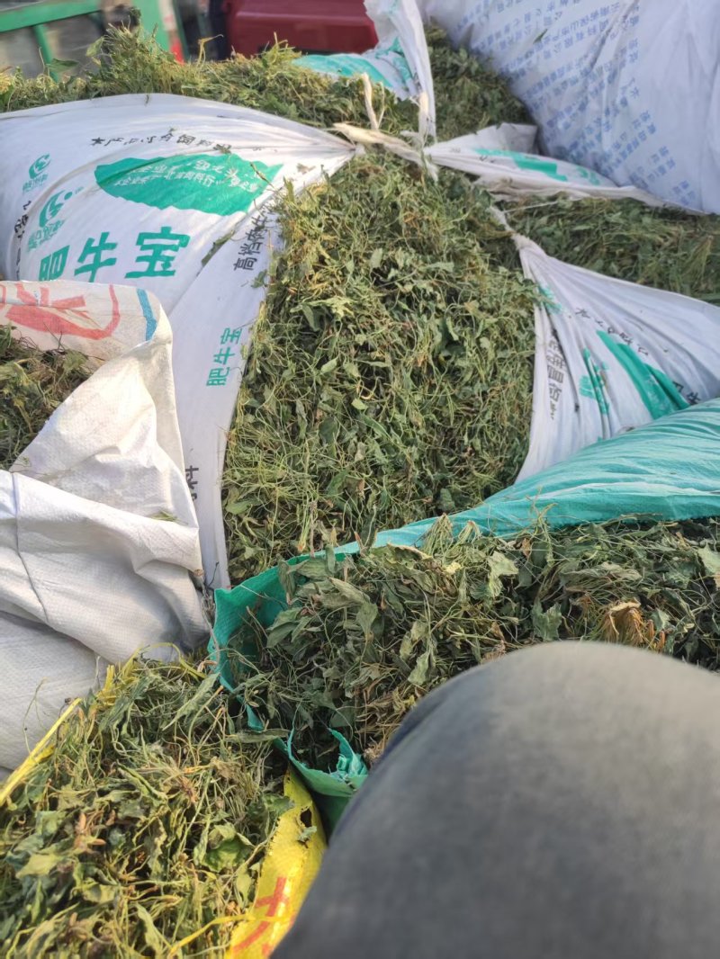 出售甜地丁