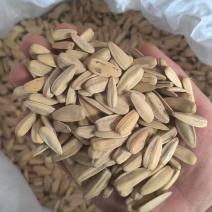 打手瓜子电商专用
