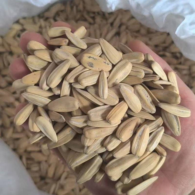 打手瓜子电商专用