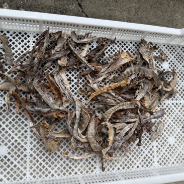 温州泰顺高山笋干