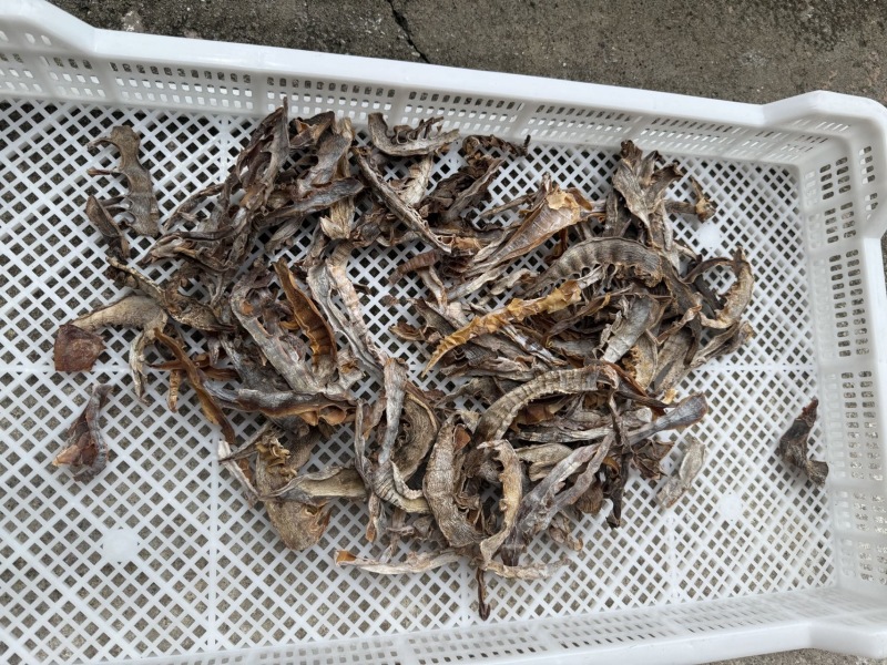 温州泰顺高山笋干