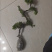 迎客松盆景盆栽松树盆景盆栽四季长青花卉植物室内室外办公桌