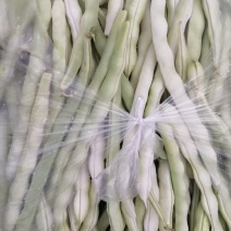 精品四季豆颜色好条子长嫩度好产地大量供应白四季豆