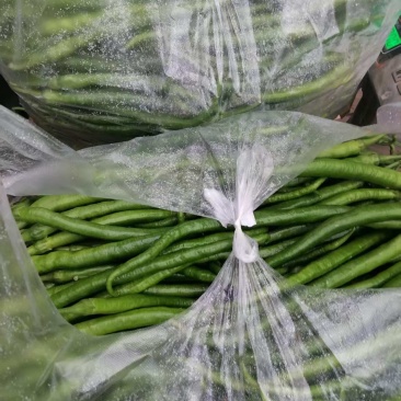 精品线椒黄皮线椒黑皮线椒大量供应