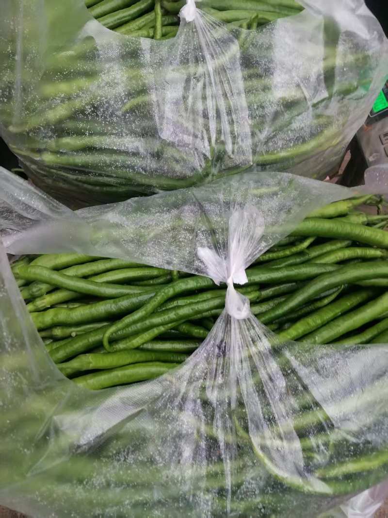 精品线椒黄皮线椒黑皮线椒大量供应