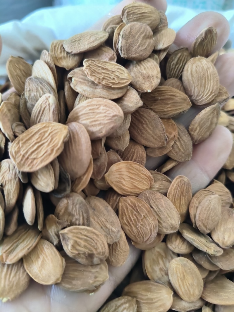 桃仁家桃仁山桃仁