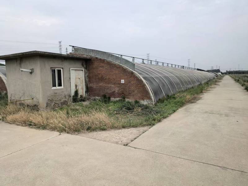 大棚出租暖气棚14个一亩地，冷棚50个一亩地一个