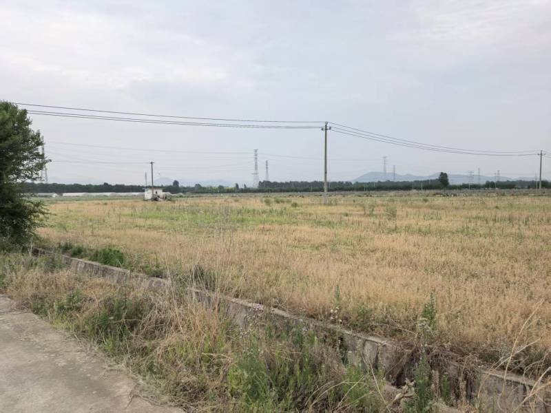 大棚出租暖气棚14个一亩地，冷棚50个一亩地一个