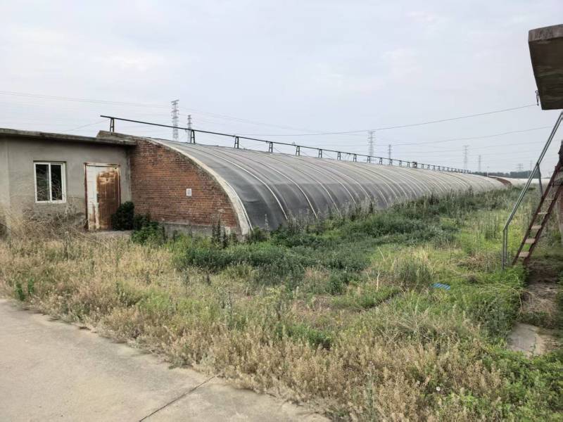 大棚出租暖气棚14个一亩地，冷棚50个一亩地一个