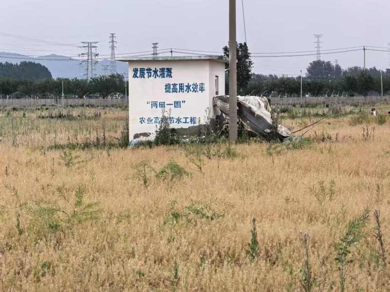 大棚出租暖气棚14个一亩地，冷棚50个一亩地一个