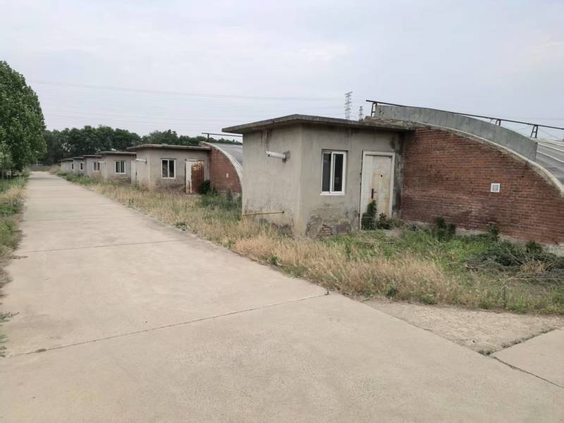 大棚出租暖气棚14个一亩地，冷棚50个一亩地一个