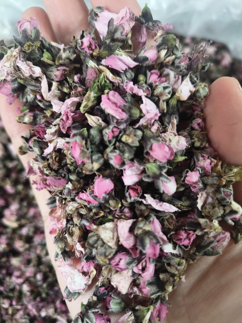 桃花无硫桃花泡茶花茶桃花