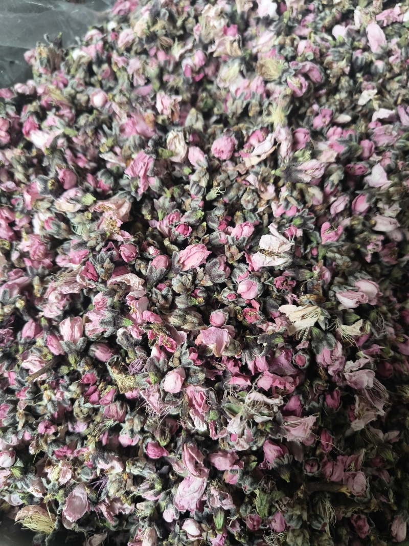 桃花无硫桃花泡茶花茶桃花