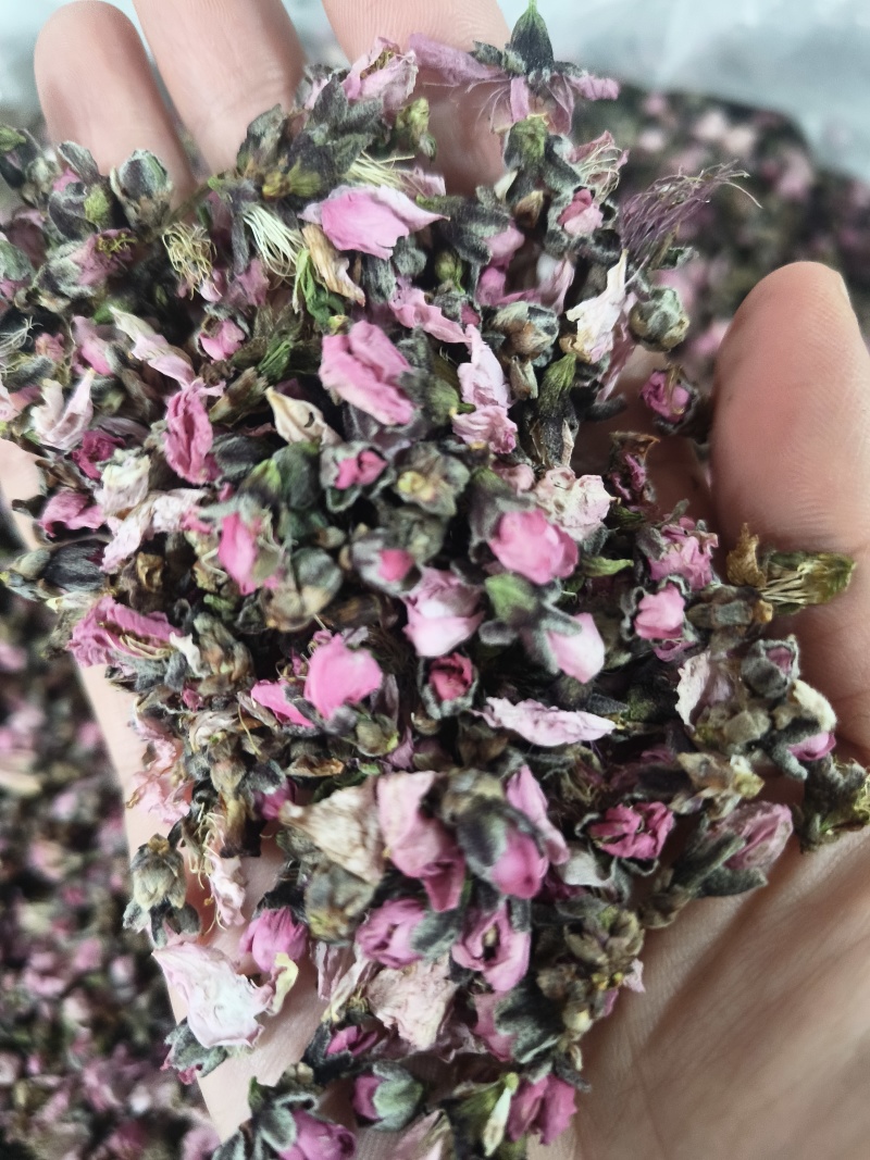 桃花无硫桃花泡茶花茶桃花