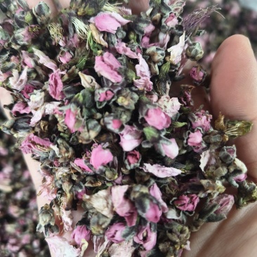 桃花无硫桃花泡茶花茶桃花