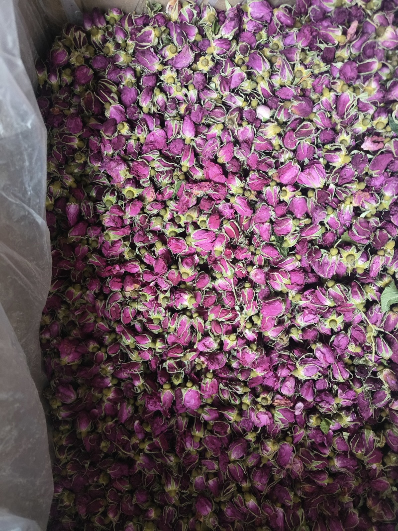 玫瑰多种规格大量批发平阴云南苦水