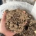 灰树花300克/包，免泡发、鲜嫩脆爽工厂直供、庆元地标