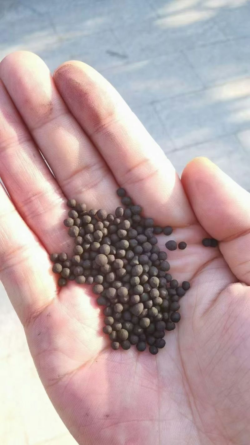 新疆五易生（核聚变菌肥）纯粮菌肥