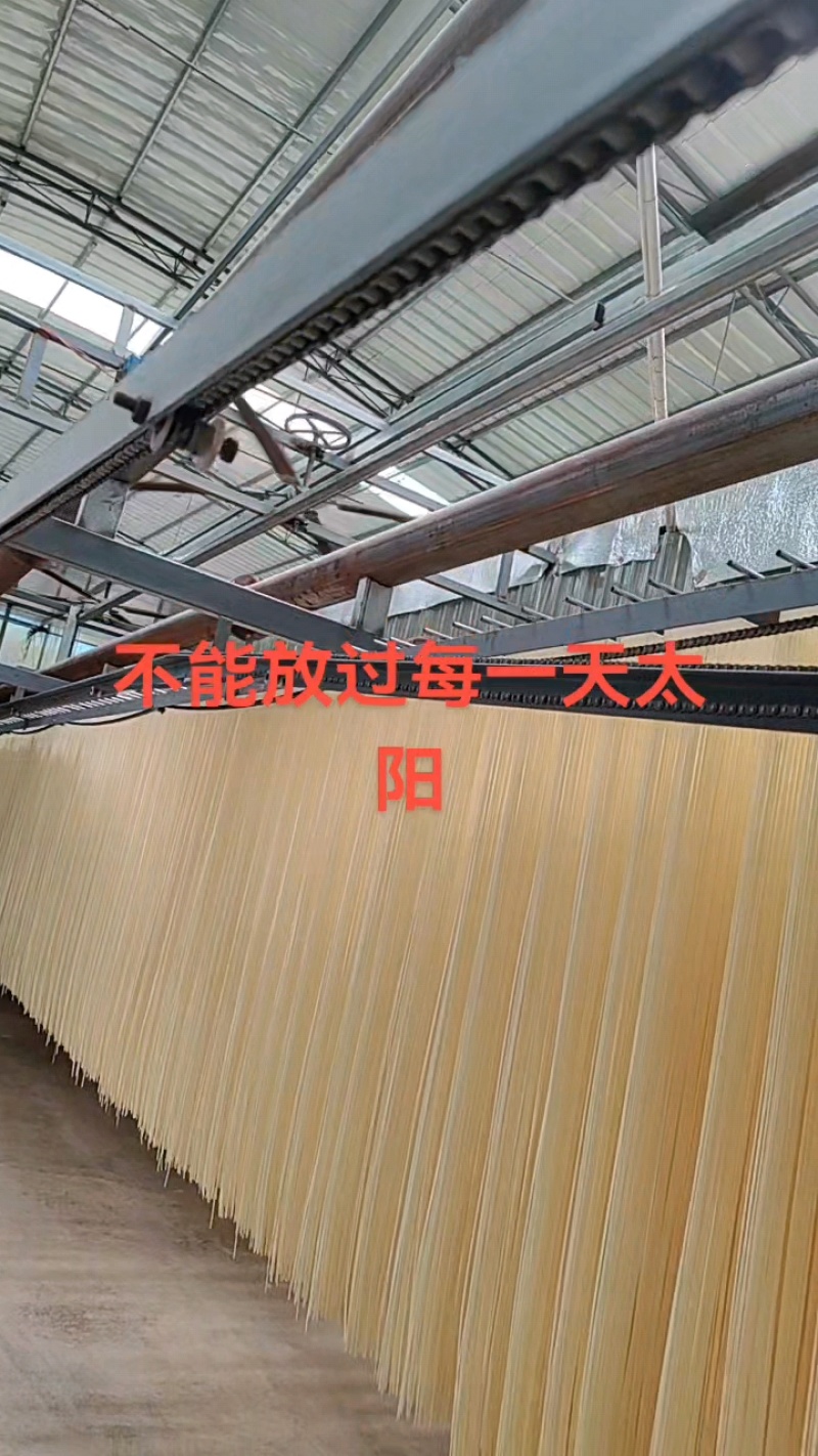 小麦面条挂面面条土面条厂家直供货源充足品质保证批发