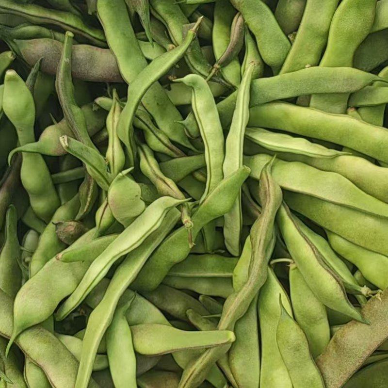 紫花油豆，油豆角，豆角
