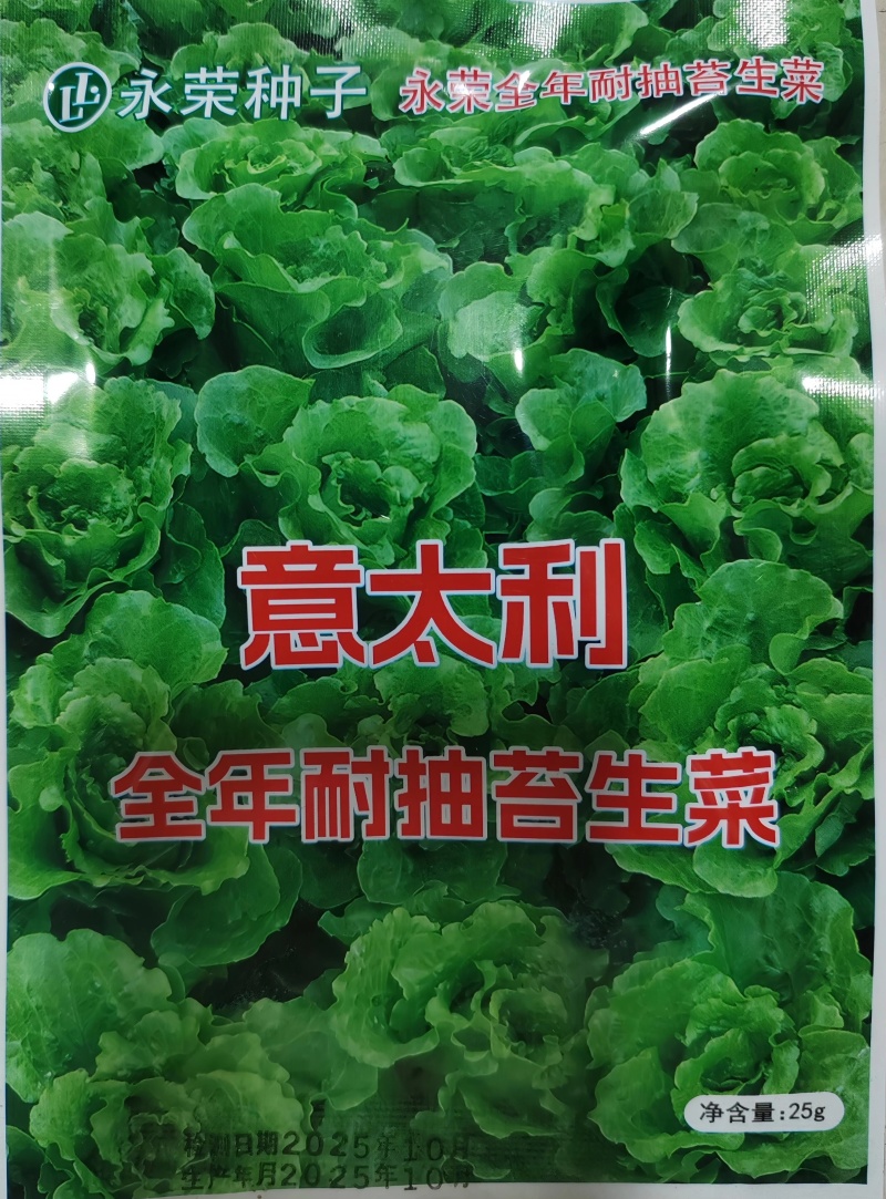 永荣生菜种子全年耐湿耐抽苔原装25克包邮