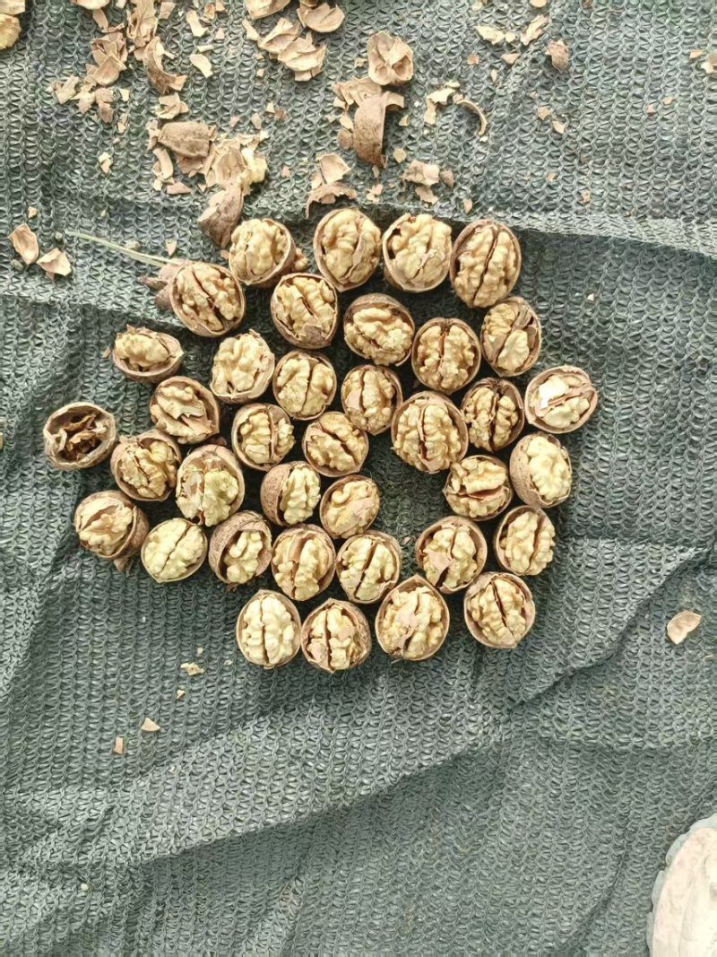 【原产地】沙雅185薄皮核桃/原生原味浓香/一级饱满