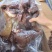 【熟牛头肉】带皮牛头肉