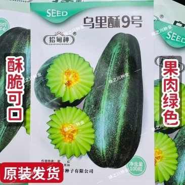 乌里酥9号甜瓜种子酥脆可口绿肉酥瓜种子原包装100粒