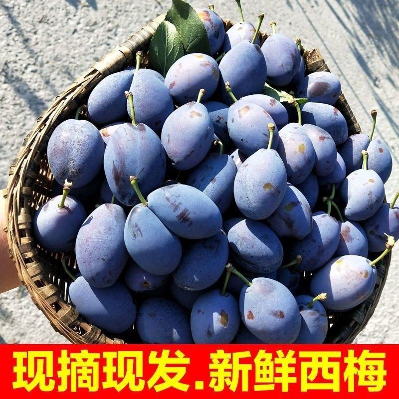法兰西蓝蜜西梅专业一件代发对接各大电商平台落地配