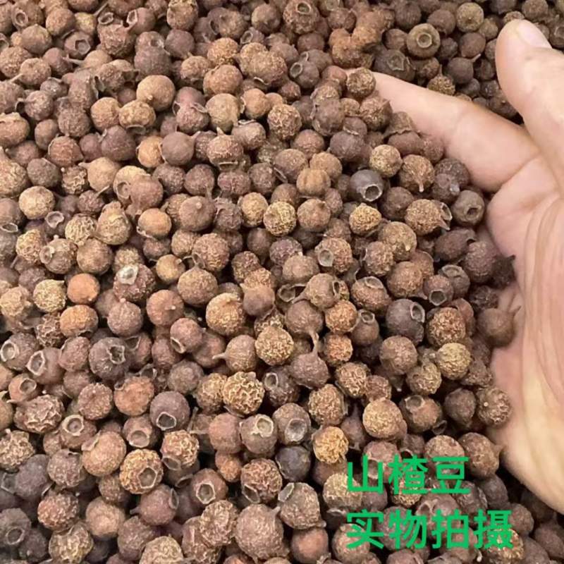 山楂豆中药材正宗野山楂豆手工挑选批发零售