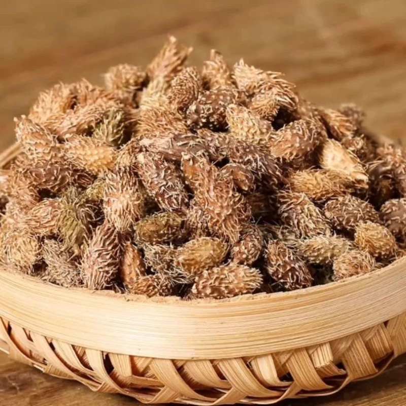 苍耳子中药材正宗野生去刺精选苍耳子批发零售