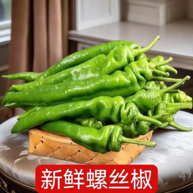 山东螺丝椒原产地直发现货代发全国资源对接一手货源直发