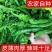 山东螺丝椒原产地直发现货代发全国资源对接一手货源直发