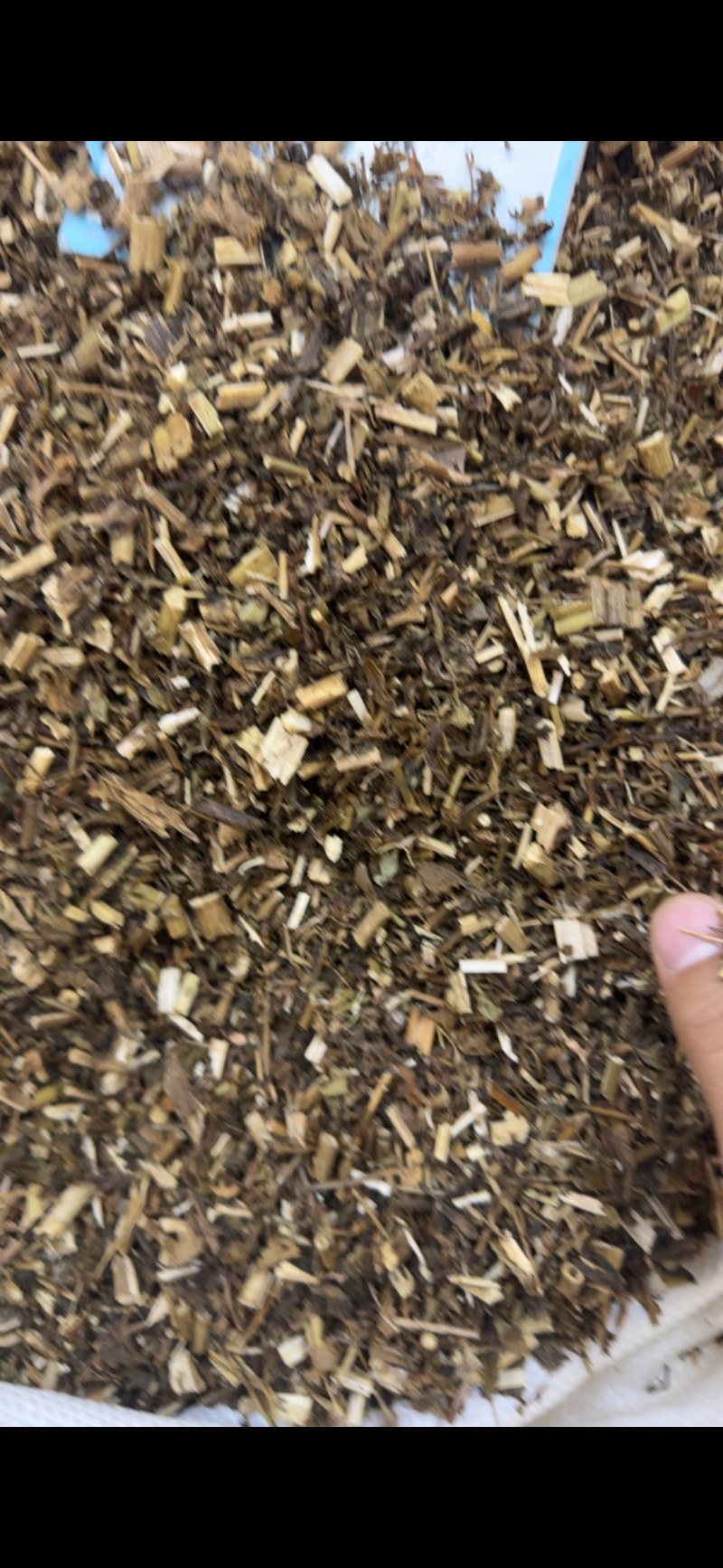 败酱草中药材正宗野生精选无硫败酱草批发零售