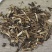 败酱草中药材正宗野生精选无硫败酱草批发零售