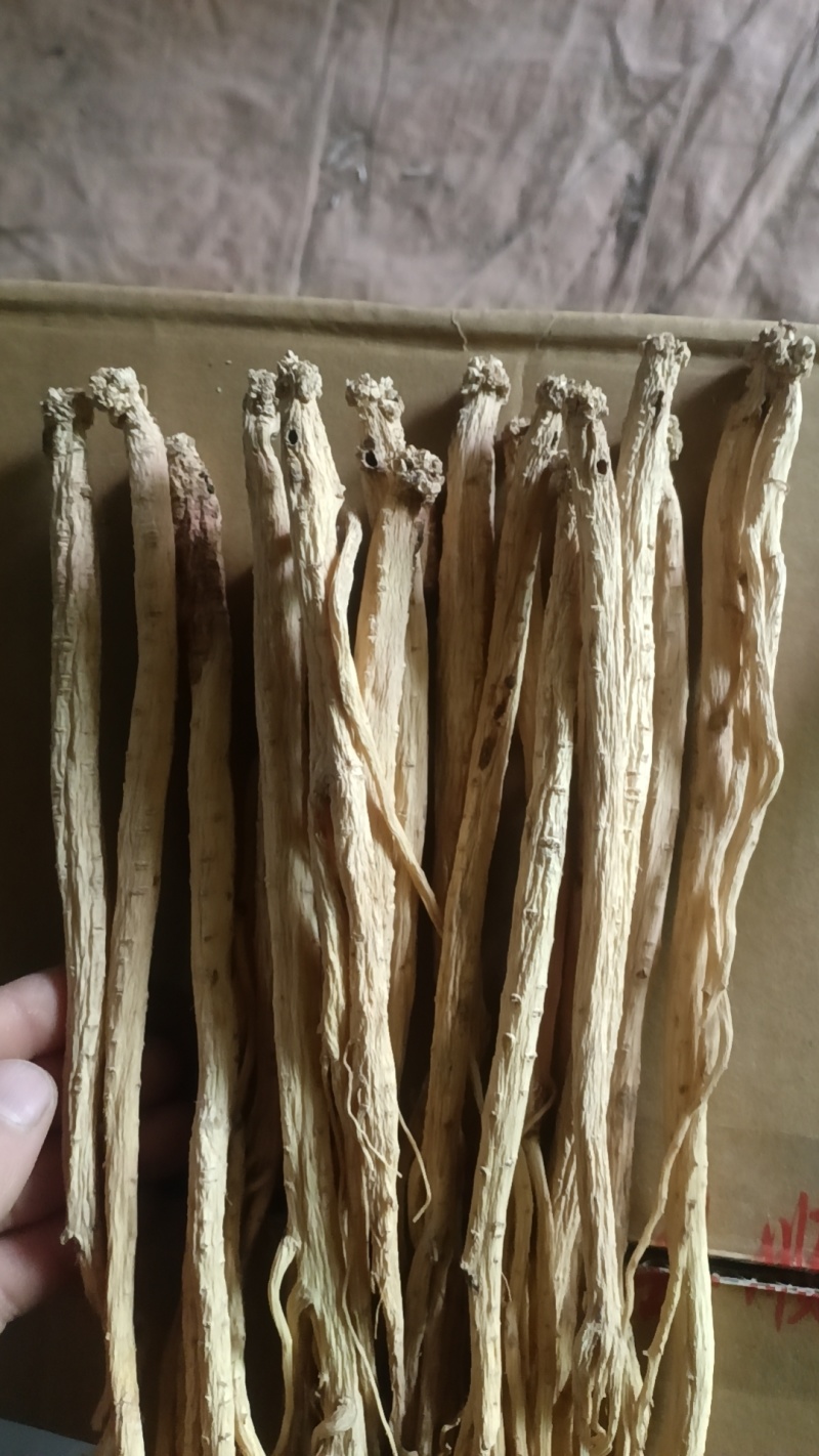 甘肃岷县产地直销