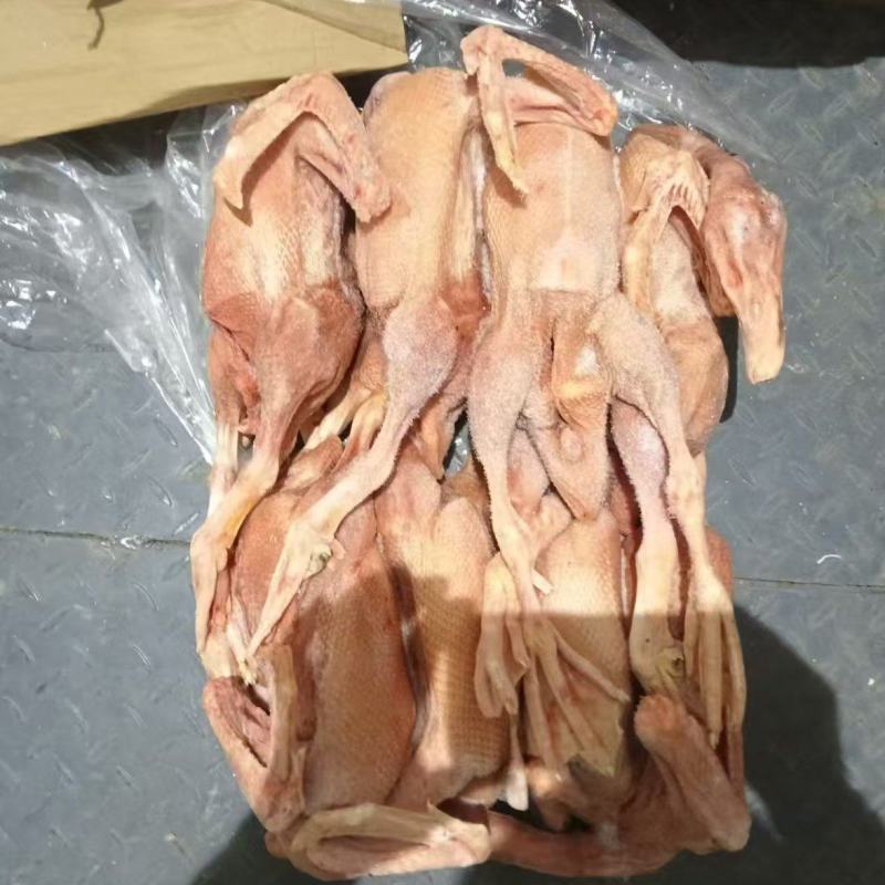 一级吊白全鸭