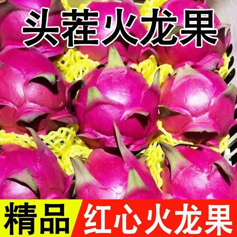 51688红心火龙果一件代发