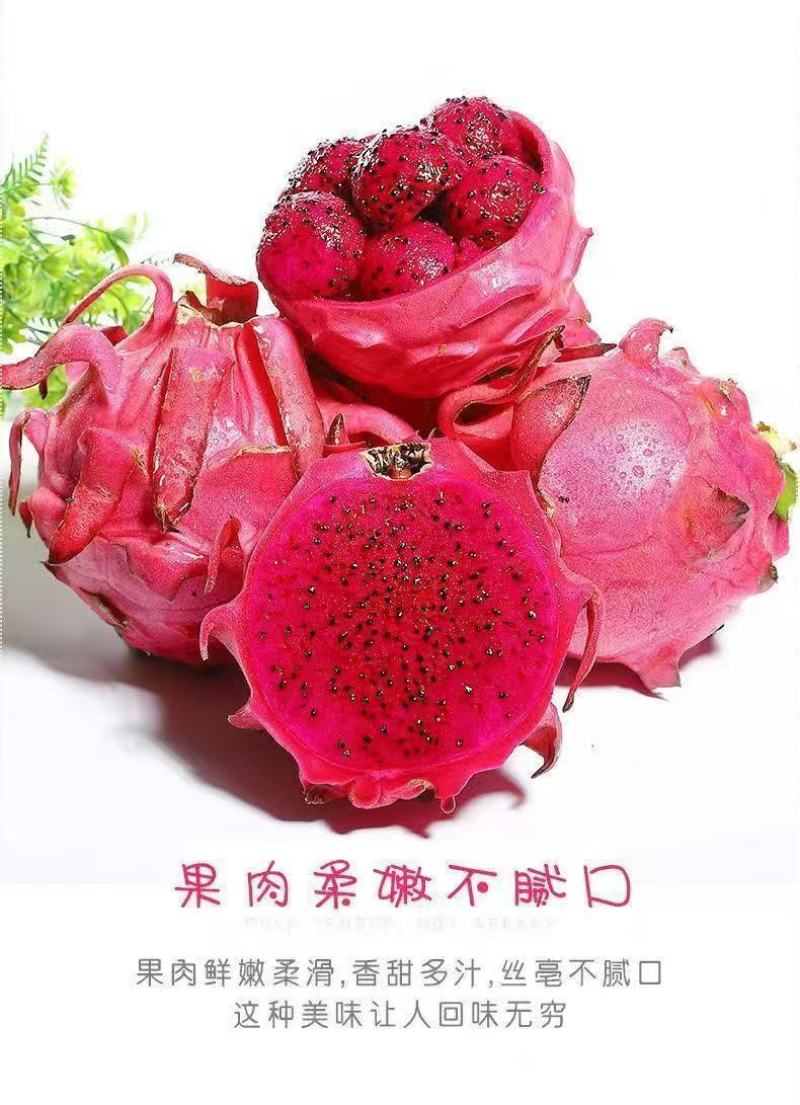 51688红心火龙果一件代发