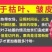 51688红心火龙果一件代发