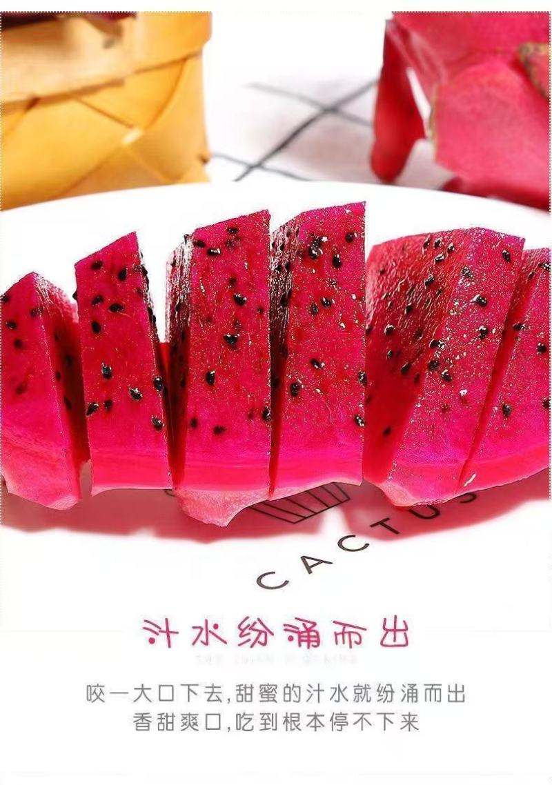 51688红心火龙果一件代发