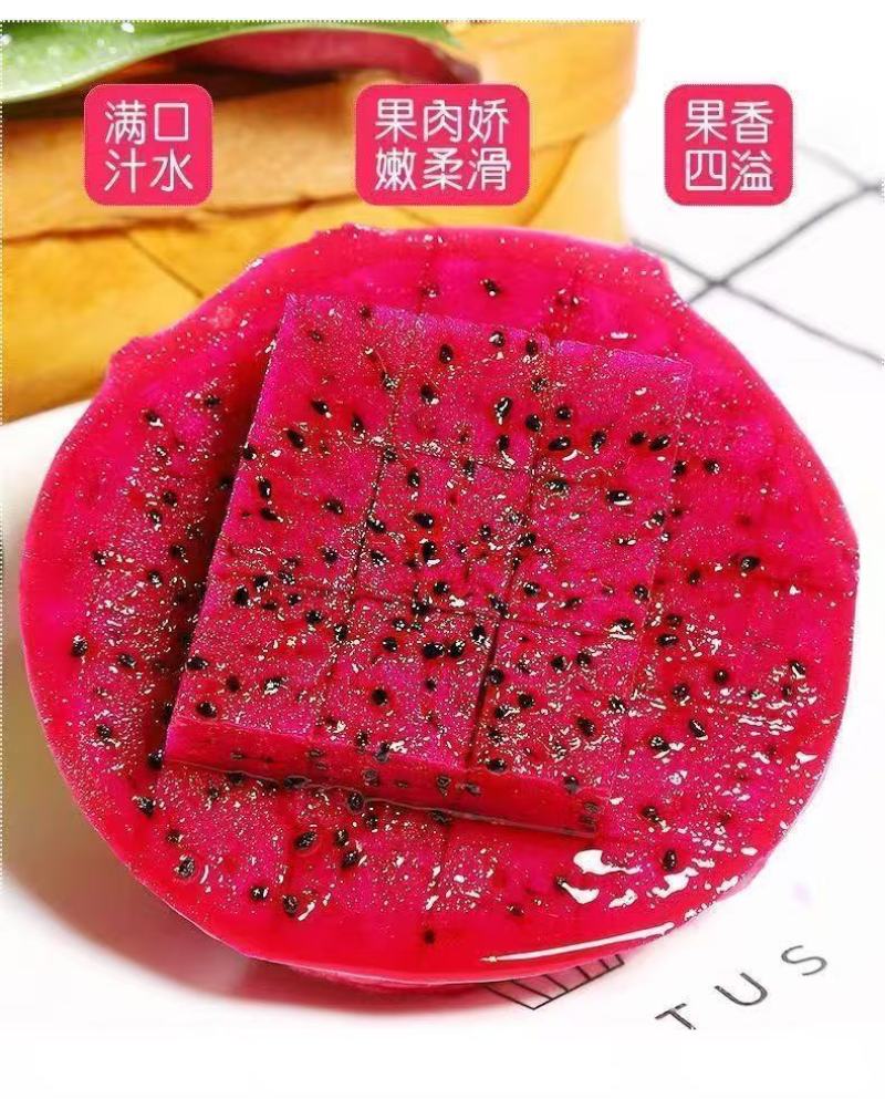 51688红心火龙果一件代发