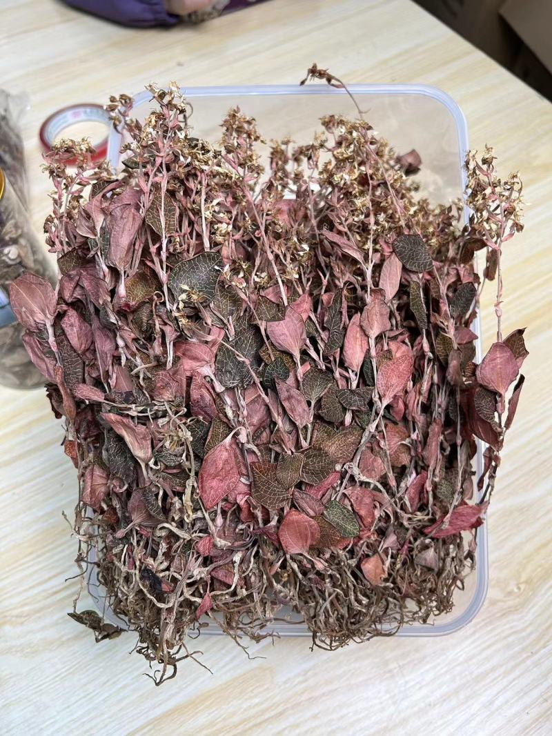 开花金线莲干品