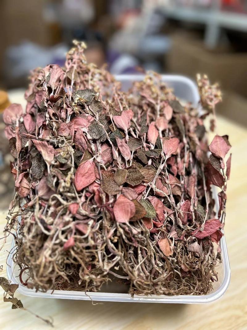 开花金线莲干品