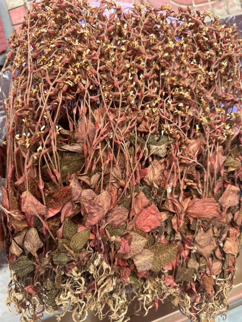 开花金线莲干品