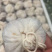 手工肚包牛羊肉，品质有保障，价格实惠欢迎咨询下单