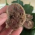 手工肚包牛羊肉，品质有保障，价格实惠欢迎咨询下单