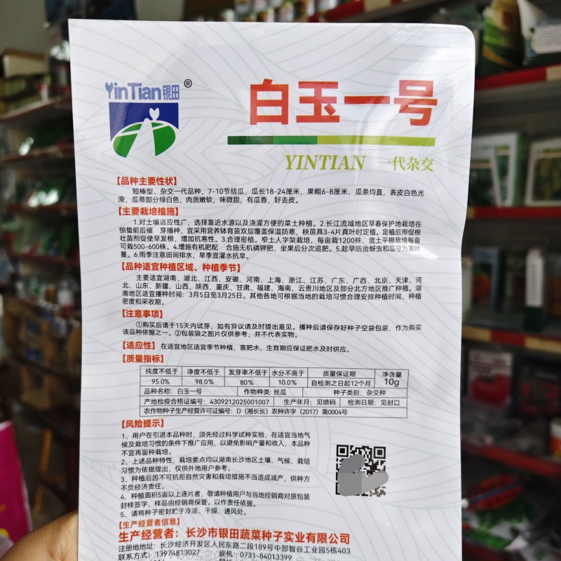 银田牌白玉一号丝瓜种子短棒形早熟白皮丝瓜种籽瓜香微甜