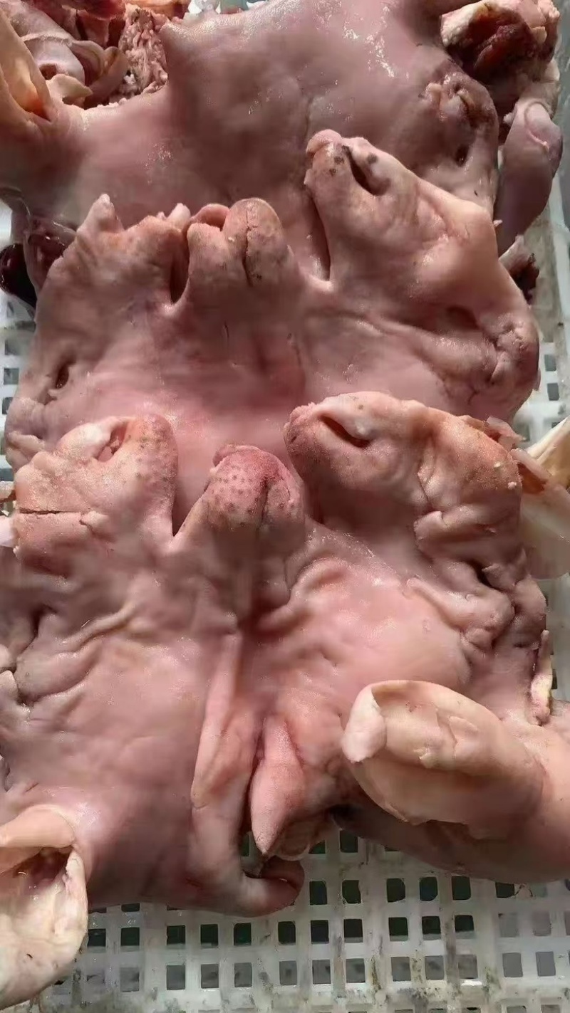 全熟羊白头肉