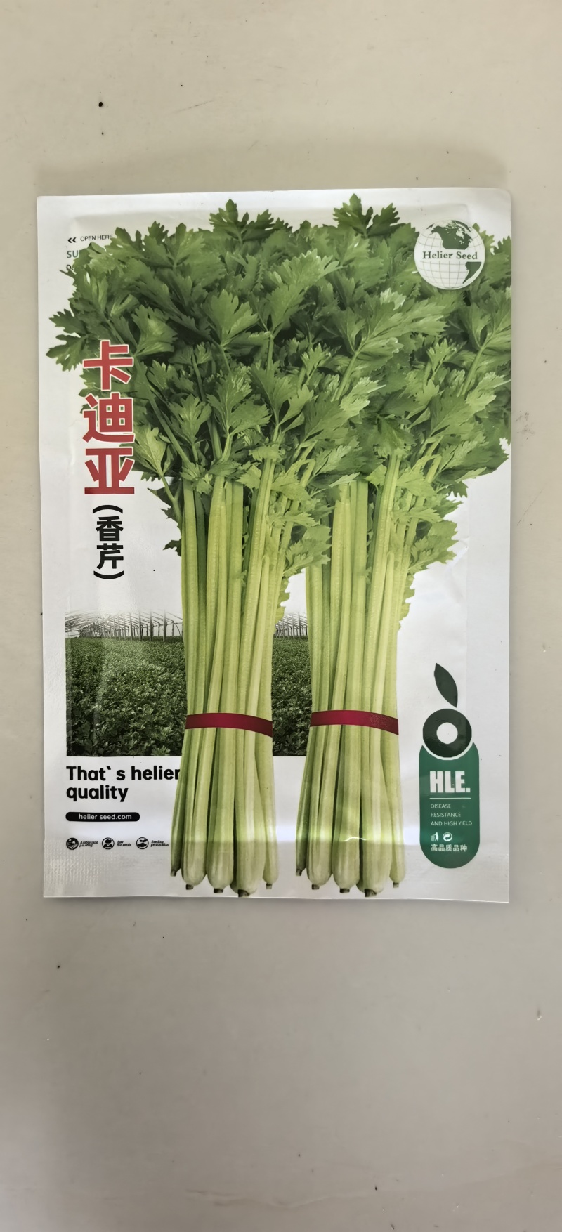 卡迪亚香芹种子小芹菜抗病实心纤维少香味特浓基地专用